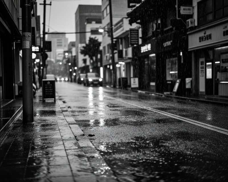 Heavy Rain in Seoul Urban Area